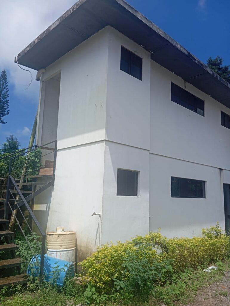 Inmueble Concepción de Ataco